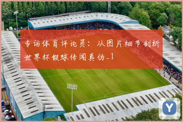 专访体育评论员：从图片细节剖析世界杯假球传闻真伪_1